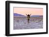 Model posing for the camera at sunset over the salt flats of the Mesquite Dunes, California-Laura Grier-Framed Photographic Print