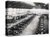 Model T Ford Factory in Trafford Park, Manchester, 1914-null-Stretched Canvas