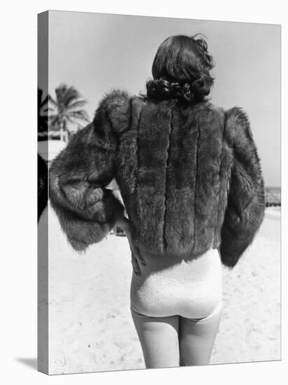 Model Wearing Fur Jacket over Bathing Suit During Walk on Miami's Beac-Alfred Eisenstaedt-Stretched Canvas