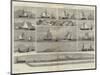 Models of Fishing Boats and Fishing Gear in the International Fisheries Exhibition-George Henry Andrews-Mounted Giclee Print