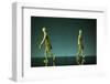 Modern Anxieties-Timothy Tichy-Framed Photographic Print