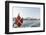 Modern Architecture in Vesterbro, Sydhavnen, Copenhagen, Denmark, Scandinavia-Axel Schmies-Framed Photographic Print