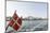 Modern Architecture in Vesterbro, Sydhavnen, Copenhagen, Denmark, Scandinavia-Axel Schmies-Mounted Photographic Print