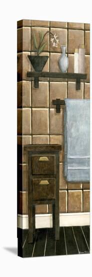 Modern Bath Panel IV-Megan Meagher-Stretched Canvas