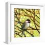 Modern Bird I-Jennifer Lommers-Framed Art Print