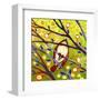 Modern Bird VI-Jennifer Lommers-Framed Art Print