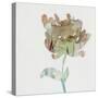 Modern Bloom I-Stellar Design Studio-Stretched Canvas