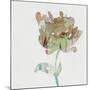 Modern Bloom I-Stellar Design Studio-Mounted Art Print