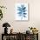 Modern Blue Botanical I-Aria K-Art Print displayed on a wall