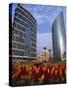 Modern Buildings Centre of Town, Lima, Peru, South America-Groenendijk Peter-Stretched Canvas