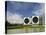 Modern Buildings of the Vasarely Foundation at Aix En Provence, Provence, France, Europe-Westwater Nedra-Stretched Canvas