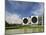 Modern Buildings of the Vasarely Foundation at Aix En Provence, Provence, France, Europe-Westwater Nedra-Mounted Photographic Print