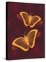 Modern Butterflies-Patty Young-Stretched Canvas