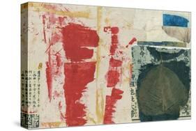 Modern Collage I-Elena Ray-Stretched Canvas
