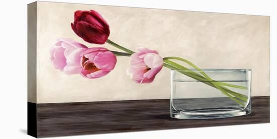 Modern Composition, Tulips-Shin Mills-Stretched Canvas