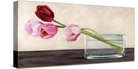 Modern Composition, Tulips-Shin Mills-Stretched Canvas