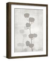 Modern Cotton 1-Denise Brown-Framed Art Print