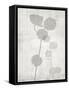 Modern Cotton 2-Denise Brown-Framed Stretched Canvas