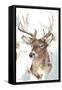 Modern Deer Mount II-Ethan Harper-Framed Stretched Canvas