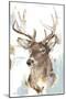Modern Deer Mount II-Ethan Harper-Mounted Art Print