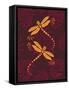 Modern Dragonflies-Patty Young-Framed Stretched Canvas