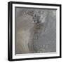 Modern Flow I-Tiffany Hakimipour-Framed Photographic Print