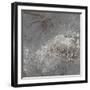 Modern Flow II-Tiffany Hakimipour-Framed Art Print