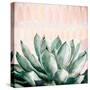 Modern Green Agave-Patricia Pinto-Stretched Canvas