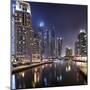 Modern High Rises, Dubai Marina by Night, Dubai, United Arab Emirates, the Middle East-Axel Schmies-Mounted Photographic Print