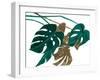 Modern Jungle Leaves I-Patricia Pinto-Framed Art Print