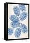 Modern Leaves I-Mercedes Lopez Charro-Framed Stretched Canvas