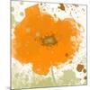 Modern Orange-Irena Orlov-Mounted Premium Giclee Print