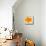 Modern Orange-Irena Orlov-Mounted Art Print displayed on a wall