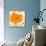 Modern Orange-Irena Orlov-Art Print displayed on a wall