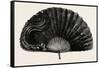 Modern Ostrich Feather Fan , 1882-null-Framed Stretched Canvas