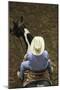 Modern Owboy, Top Down View, Oklahoma City, Oklahoma, USA-Walter Bibikow-Mounted Photographic Print
