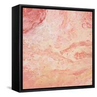 Modern Peach Flow II-Tiffany Hakimipour-Framed Stretched Canvas