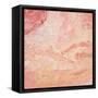 Modern Peach Flow II-Tiffany Hakimipour-Framed Stretched Canvas