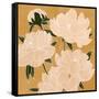 Modern Peonies I-Emma Scarvey-Framed Stretched Canvas