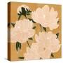 Modern Peonies I-Emma Scarvey-Stretched Canvas