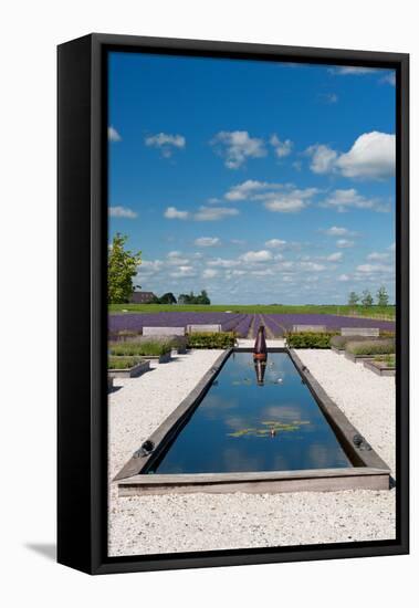 Modern Pond-Ivonnewierink-Framed Stretched Canvas
