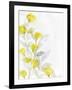 Modern Poppies 1-Denise Brown-Framed Art Print