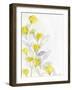 Modern Poppies 1-Denise Brown-Framed Art Print