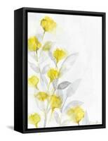 Modern Poppies 1-Denise Brown-Framed Stretched Canvas