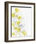 Modern Poppies 1-Denise Brown-Framed Art Print