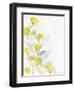 Modern Poppies 1-Denise Brown-Framed Art Print