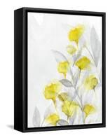 Modern Poppies 2-Denise Brown-Framed Stretched Canvas