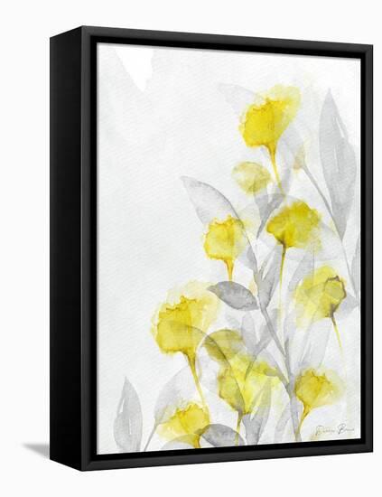 Modern Poppies 2-Denise Brown-Framed Stretched Canvas