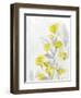 Modern Poppies 2-Denise Brown-Framed Art Print