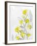 Modern Poppies 2-Denise Brown-Framed Art Print